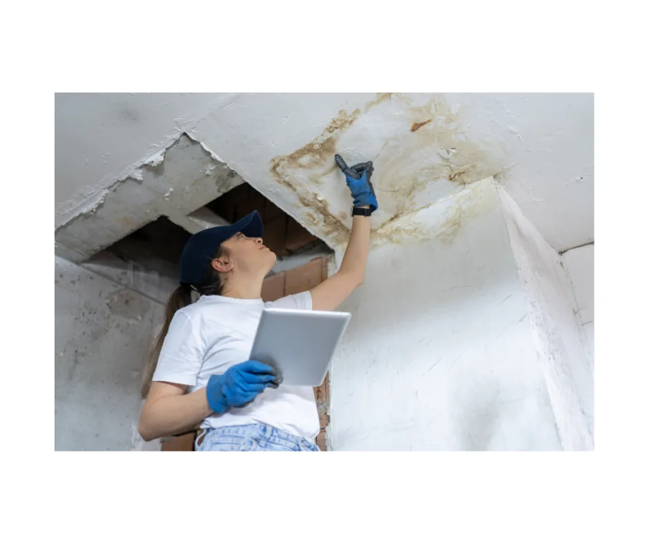 Fire & Smoke Damage Restoration project photo, Nassau County