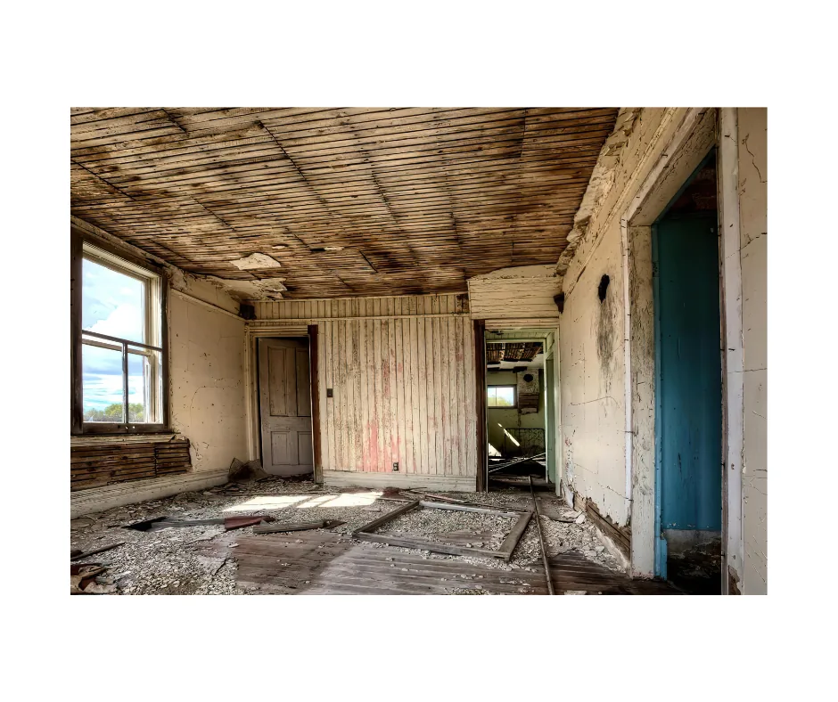 Mold Remediation, Nassau County