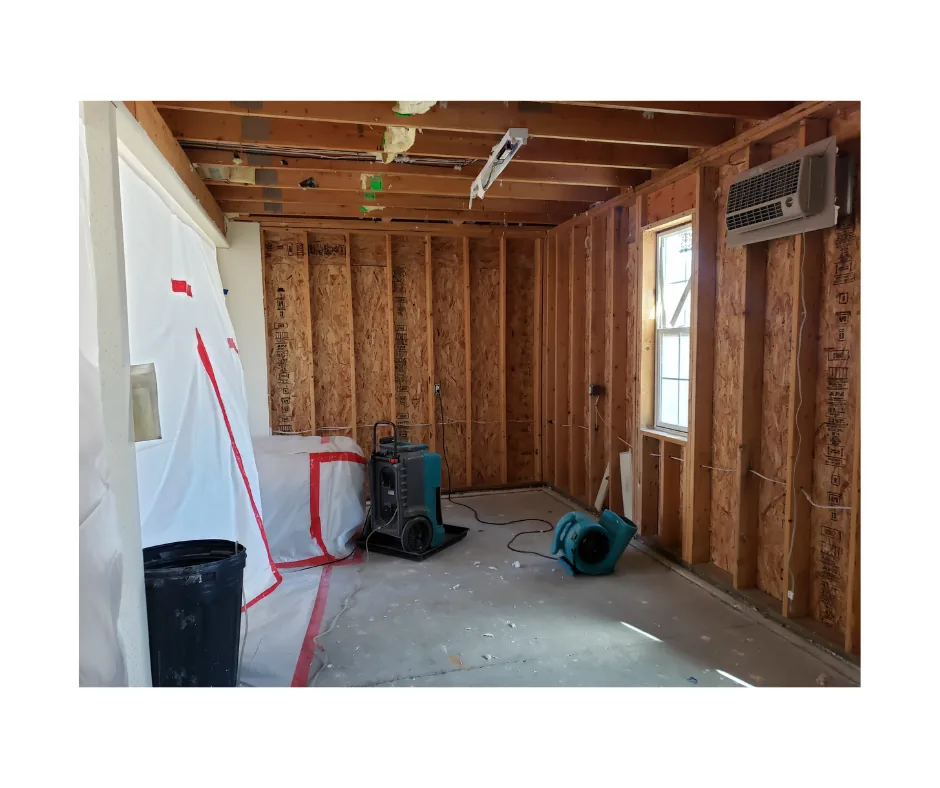 Mold Remediation project photo, Nassau County