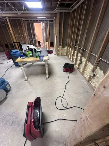 Emergency Restoration Pro project photo