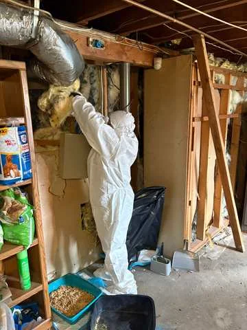 Water Damage Restoration project photo, Mill Neck
